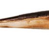 Berkley Gulp! Saltwater Baitfish - Smelt