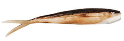 Berkley Gulp! Saltwater Baitfish - Smelt