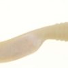 Berkley Gulp! Saltwater Grub - 5 in. - White Glow