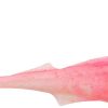 Berkley Gulp! Saltwater Nemesis - 6.5in - Pink Shine - GSNMS6.5-PSH