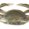 Berkley Gulp! Saltwater Peeler Crab Natural - GSPC2-NAT