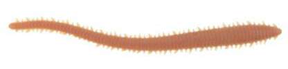 Berkley Gulp! Saltwater Sandworm - 6in - Natural