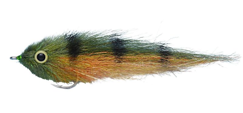 Enrico Puglisi Dorado Baby Saltwater Fly - Peacock - #4/0