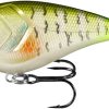 13 Fishing Warthog Squarebill Crankbait - 2-1/3in - Dream Gill