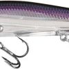 13 Fishing Whipper Snapper Jerkbait - 3-1/8in - Gizzard of Oz