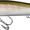 13 Fishing Whipper Snapper Jerkbait - 4-1/4in - Epic Shad