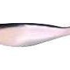 9er's 35 6" Shad Replacement Pack - - 3501BLK Pearl w/Black Back