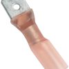 Ancor Male Heat Shrink Disconnects - 22-18 AWG - 100 Pack