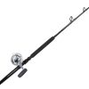 Avet EXW 50/2 Silver / TackleDirect Platinum Hook Standup Combo