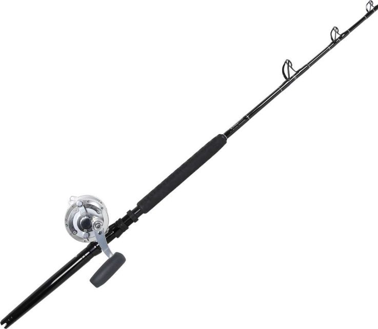 Avet EXW 50/2 Silver / TackleDirect Platinum Hook Standup Combo