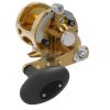 Avet MXL G2 5.8 Single Speed Reel Gold