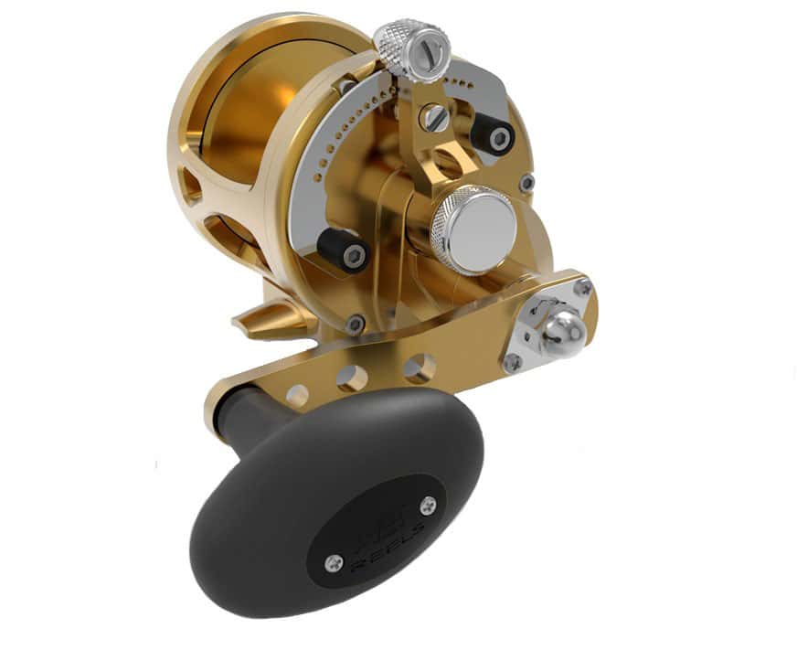 Avet MXL G2 5.8 Single Speed Reel Gold