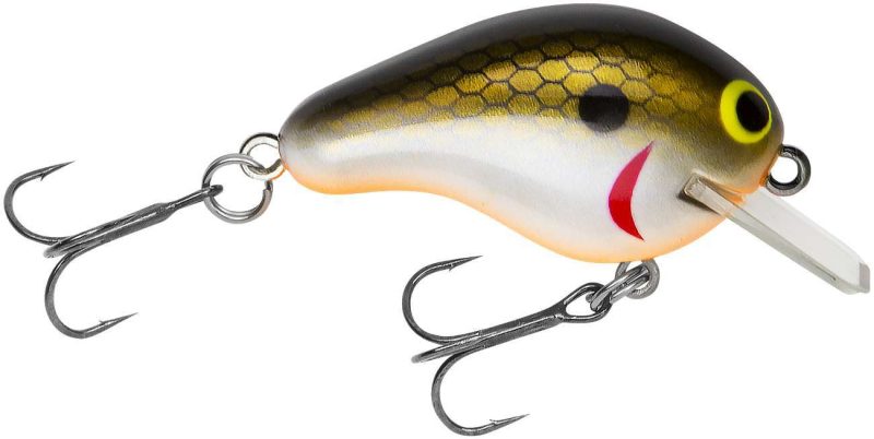 Bagley Rattlin' Honey B1 - Tennessee Shad - RHB1-TSD