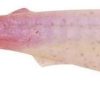 Berkley Gulp! Freshwater Paddleshad - 3in - Purple Penny