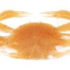 Berkley Gulp! Saltwater Peeler Crab Amber Glow - GSPC2-AG