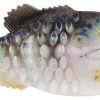 Berkley PowerBait Gilly Swimbait - 110mm - HD Crappie