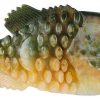 Berkley PowerBait Gilly Swimbait - 110mm - HD Pumpkinseed