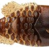 Berkley PowerBait Gilly Swimbait - 130mm - Pumpkinseed