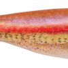 Berkley Powerbait The Champ Minnow - HD Rainbow Shiner