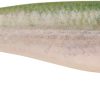 Berkley Powerbait The Champ Swimmer - HD Tennessee Shad