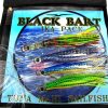 Black Bart Ika Lure Pack - Hotuna / Beast / Ika / Zen