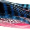 Black Bart Medium Mini Angle Nose Blue-Pink Tiger/Silver Black Tiger