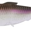 Coalition Bait Co. Dine Swimbait - American Shad