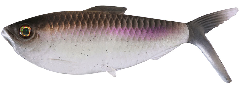 Coalition Bait Co. Dine Swimbait - American Shad