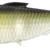 Coalition Bait Co. Dine Swimbait - Dark Sardine