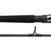 Daiwa Emcast Surf Conventional Rod - EMCST1002MHFB