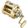 Daiwa Marine Power Dendoh Reel - MP3000-12V