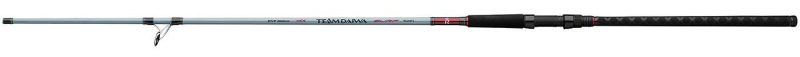 Daiwa Team Daiwa Surf Spinning Rod - TDSF1002MFS