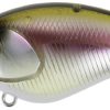 Duo Realis Apex Crank 66 Squared - Komochi Wakasaki