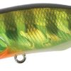 Duo Realis Popper 64 - Chart Gill Halo