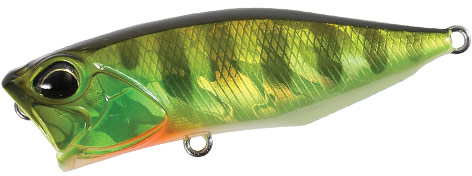 Duo Realis Popper 64 - Chart Gill Halo