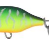 Duo Realis Spin 30 5G - Mat Tiger