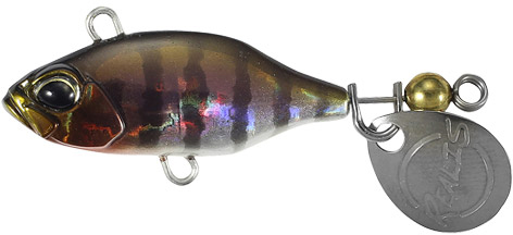 Duo Realis Spin 30 5G - Prism Gill