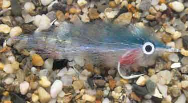 Enrico Puglisi Peanut Butter Blueback Herring #3/0 5" Saltwater Fly