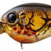 Evergreen Piccolo PC-5 Crankbait - Bleeding Brown Craw