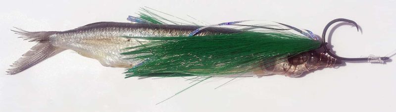 Fish DownSea 5in Party Hats Lures Green - PH Green