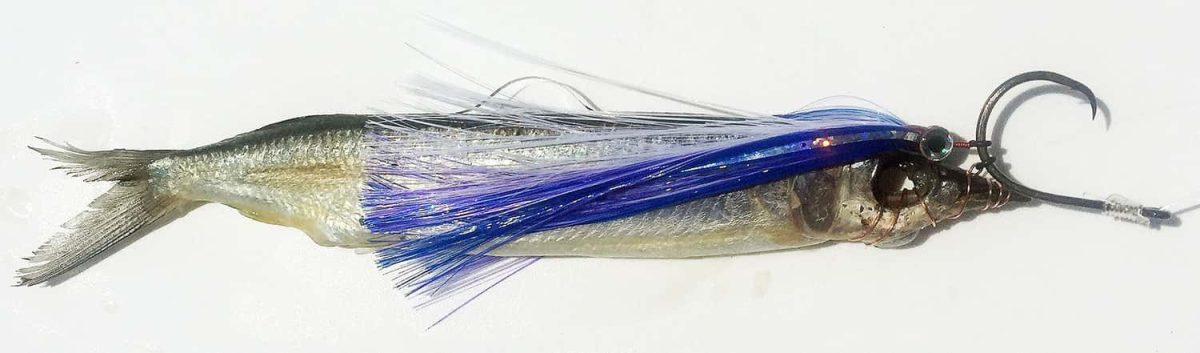 Fish DownSea 6in Party Skirt Lures Flying Fish - PS Flying Fish