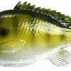 FishLab Bio Gill Weedless Soft Swimbait - 4-5/8in - Light Bluegill