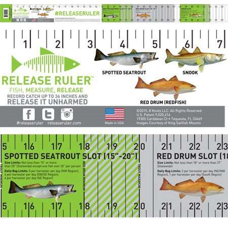 Florida Inshore Slam Release Ruler