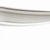 Gator Lures 5 oz. Stainless Steel Gator Spoon - 500SSTR-1