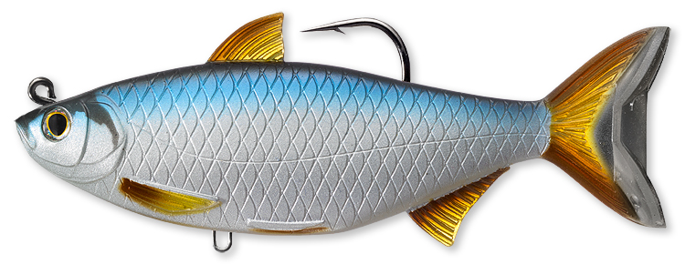 LIVETARGET Golden Shiner Swimbait - 8in - Silver/Blue