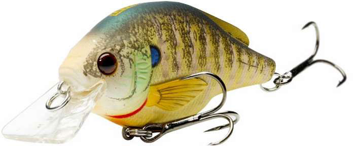 LIVETARGET Lures Bluegill Squarebill BGSS60S 100 Natural/Matte - BGS60S 100 Natural/Matte