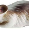 LIVETARGET Lures Field Mouse MHB60T Surface 2 1/4" 402 White/White