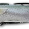 LIVETARGET MUH85T716 Mullet Hollow Body Lure - 3-3/4in