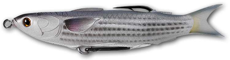 LIVETARGET Mullet Hollow Body Lure - 4-1/2in - MUH115T721