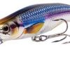 LIVETARGET Rainbow Smelt Banana Bait Shallow Dive 3 5/8" Gold/Black - RSB91S 208 Gold/Black